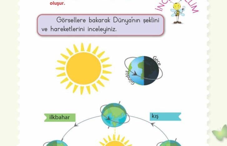 2. Sınıf Hayat Bilgisi Meb Yayınları Sayfa 239 Cevapları