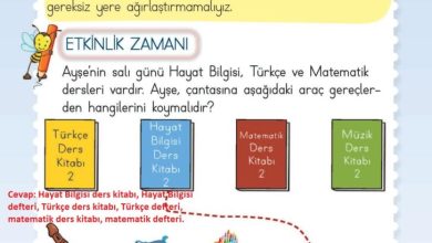 2. Sınıf Hayat Bilgisi Meb Yayınları Sayfa 24 Cevapları