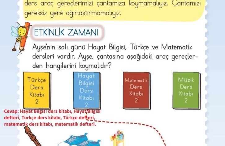 2. Sınıf Hayat Bilgisi Meb Yayınları Sayfa 24 Cevapları