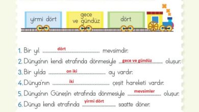 2. Sınıf Hayat Bilgisi Meb Yayınları Sayfa 242 Cevapları