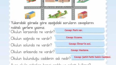 2. Sınıf Hayat Bilgisi Meb Yayınları Sayfa 32 Cevapları