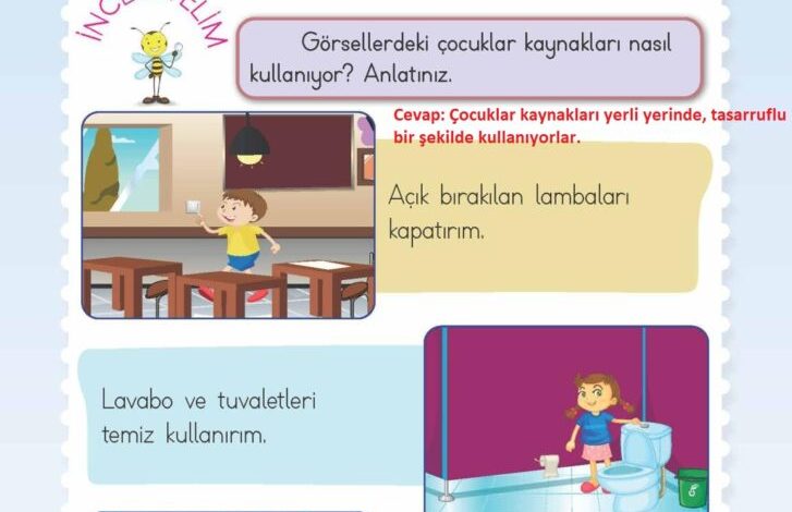 2. Sınıf Hayat Bilgisi Meb Yayınları Sayfa 33 Cevapları