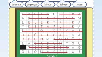 2. Sınıf Hayat Bilgisi Meb Yayınları Sayfa 37 Cevapları