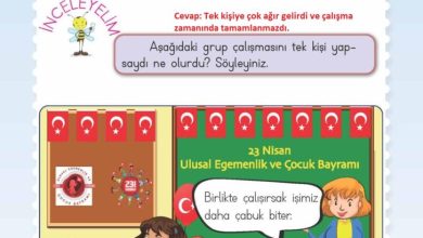 2. Sınıf Hayat Bilgisi Meb Yayınları Sayfa 38 Cevapları