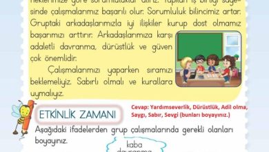 2. Sınıf Hayat Bilgisi Meb Yayınları Sayfa 39 Cevapları