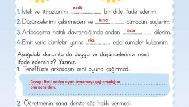 2. Sınıf Hayat Bilgisi Meb Yayınları Sayfa 44 Cevapları