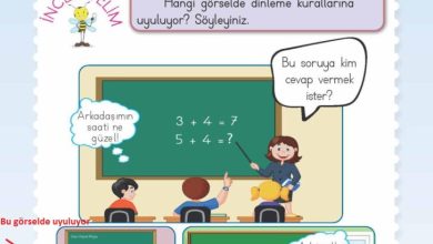 2. Sınıf Hayat Bilgisi Meb Yayınları Sayfa 46 Cevapları