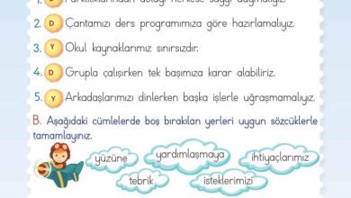 2. Sınıf Hayat Bilgisi Meb Yayınları Sayfa 56 Cevapları