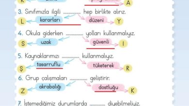 2. Sınıf Hayat Bilgisi Meb Yayınları Sayfa 58 Cevapları