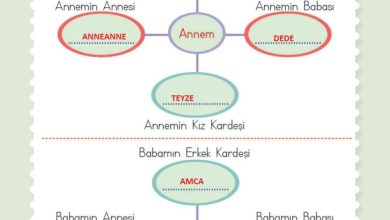 2. Sınıf Hayat Bilgisi Meb Yayınları Sayfa 68 Cevapları