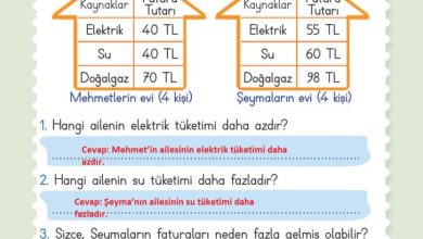 2. Sınıf Hayat Bilgisi Meb Yayınları Sayfa 88 Cevapları