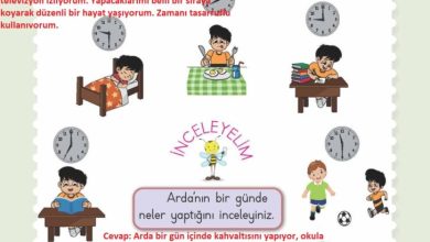 2. Sınıf Hayat Bilgisi Meb Yayınları Sayfa 92 Cevapları