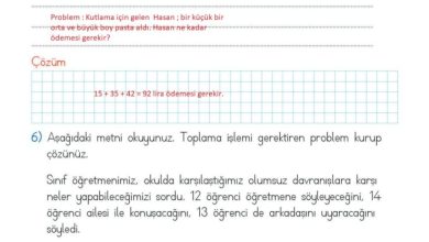 2. Sınıf Matematik Meb Yayınları Sayfa 100 Cevapları