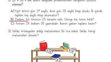 2. Sınıf Matematik Meb Yayınları Sayfa 101 Cevapları