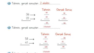 2. Sınıf Matematik Meb Yayınları Sayfa 104 Cevapları