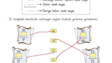 2. Sınıf Matematik Meb Yayınları Sayfa 109 Cevapları