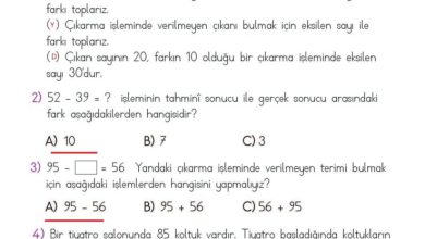 2. Sınıf Matematik Meb Yayınları Sayfa 110 Cevapları