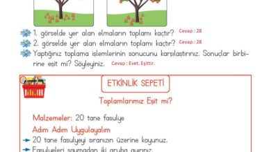 2. Sınıf Matematik Meb Yayınları Sayfa 111 Cevapları