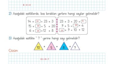 2. Sınıf Matematik Meb Yayınları Sayfa 113 Cevapları