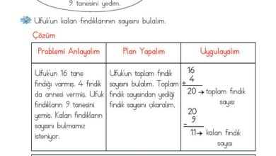 2. Sınıf Matematik Meb Yayınları Sayfa 115 Cevapları