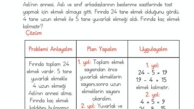 2. Sınıf Matematik Meb Yayınları Sayfa 116 Cevapları