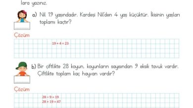 2. Sınıf Matematik Meb Yayınları Sayfa 117 Cevapları