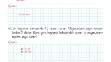 2. Sınıf Matematik Meb Yayınları Sayfa 118 Cevapları