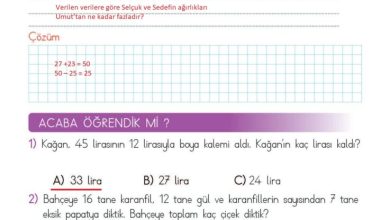 2. Sınıf Matematik Meb Yayınları Sayfa 119 Cevapları