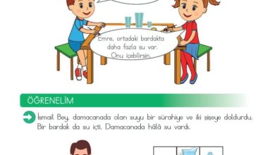 2. Sınıf Matematik Meb Yayınları Sayfa 120 Cevapları