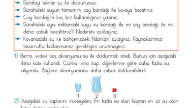 2. Sınıf Matematik Meb Yayınları Sayfa 121 Cevapları