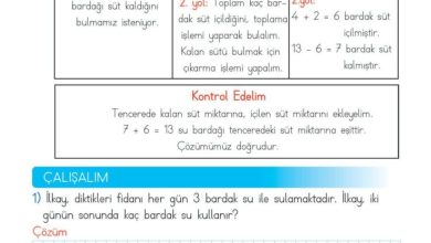 2. Sınıf Matematik Meb Yayınları Sayfa 123 Cevapları