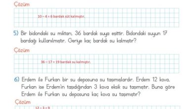 2. Sınıf Matematik Meb Yayınları Sayfa 124 Cevapları