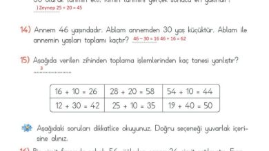 2. Sınıf Matematik Meb Yayınları Sayfa 127 Cevapları