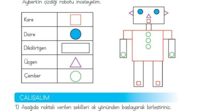 2. Sınıf Matematik Meb Yayınları Sayfa 133 Cevapları