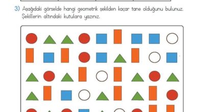 2. Sınıf Matematik Meb Yayınları Sayfa 134 Cevapları