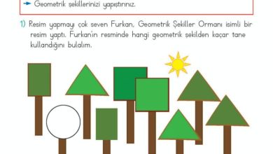 2. Sınıf Matematik Meb Yayınları Sayfa 136 Cevapları