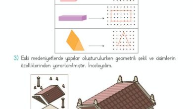 2. Sınıf Matematik Meb Yayınları Sayfa 137 Cevapları