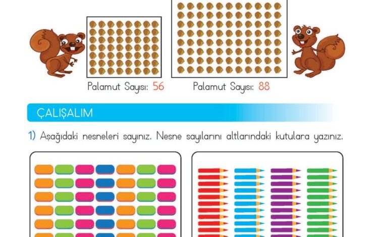 2. Sınıf Matematik Meb Yayınları Sayfa 14 Cevapları