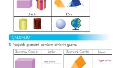 2. Sınıf Matematik Meb Yayınları Sayfa 141 Cevapları