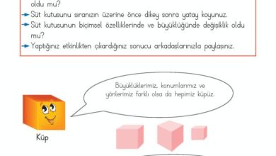 2. Sınıf Matematik Meb Yayınları Sayfa 143 Cevapları