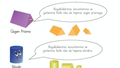 2. Sınıf Matematik Meb Yayınları Sayfa 144 Cevapları