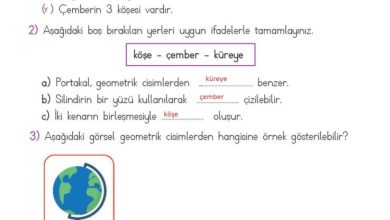 2. Sınıf Matematik Meb Yayınları Sayfa 145 Cevapları