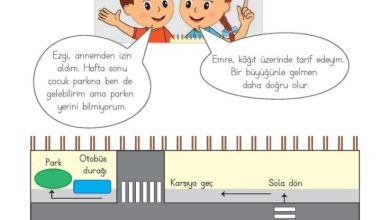 2. Sınıf Matematik Meb Yayınları Sayfa 146 Cevapları