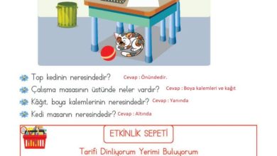 2. Sınıf Matematik Meb Yayınları Sayfa 147 Cevapları