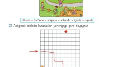 2. Sınıf Matematik Meb Yayınları Sayfa 149 Cevapları