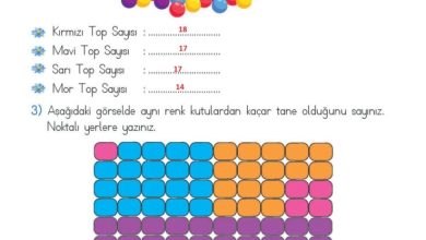 2. Sınıf Matematik Meb Yayınları Sayfa 15 Cevapları