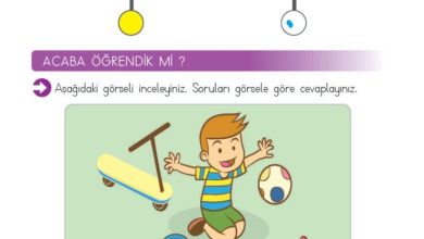 2. Sınıf Matematik Meb Yayınları Sayfa 150 Cevapları