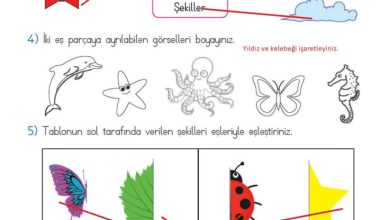 2. Sınıf Matematik Meb Yayınları Sayfa 153 Cevapları