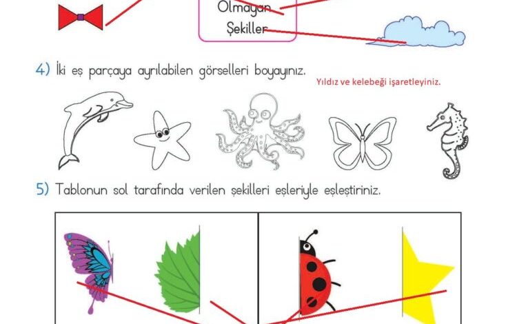 2. Sınıf Matematik Meb Yayınları Sayfa 153 Cevapları