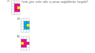 2. Sınıf Matematik Meb Yayınları Sayfa 154 Cevapları